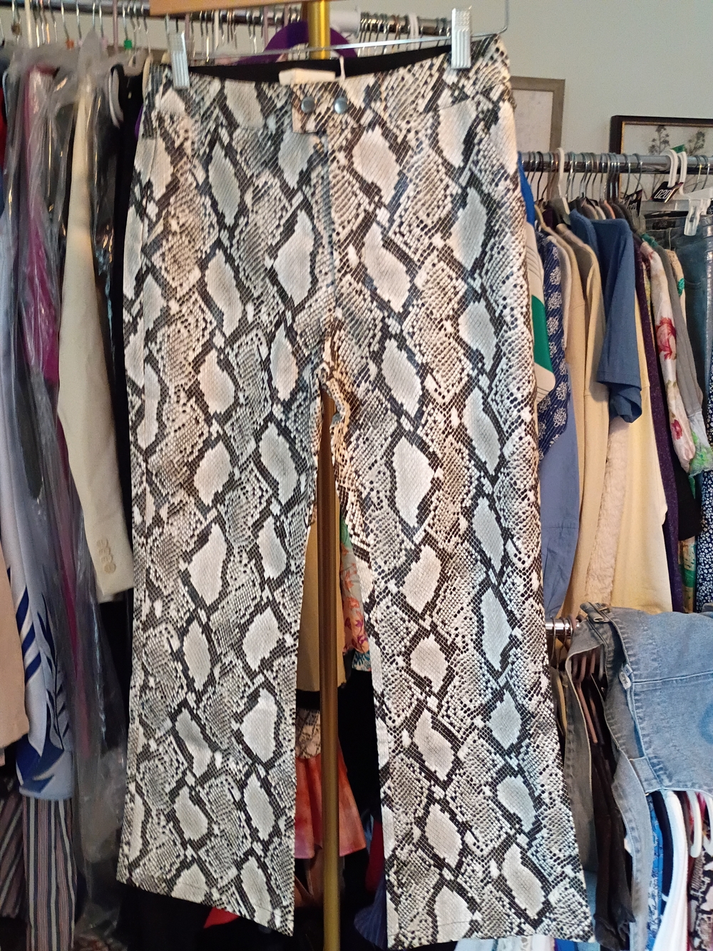 Women's Snake Print Wide-Leg Pants - Black & White